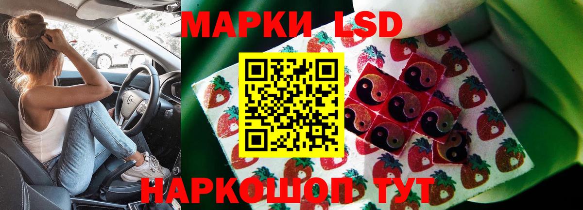 Новоалександровск  ЛСД экстази кислота  Лсд 25 экстази ecstasy  Лсд 25 экстази  Вход с VPN 